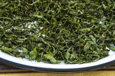 پخش سبزی نعناع خشک بلغور در سراسر کشور + خرید ارزان